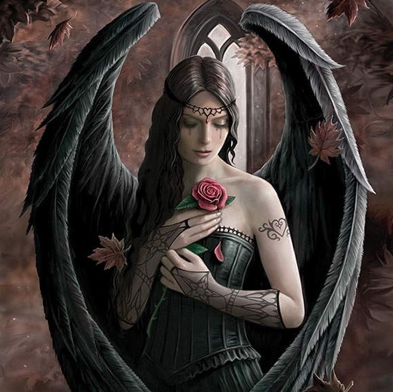 Angel-Rose