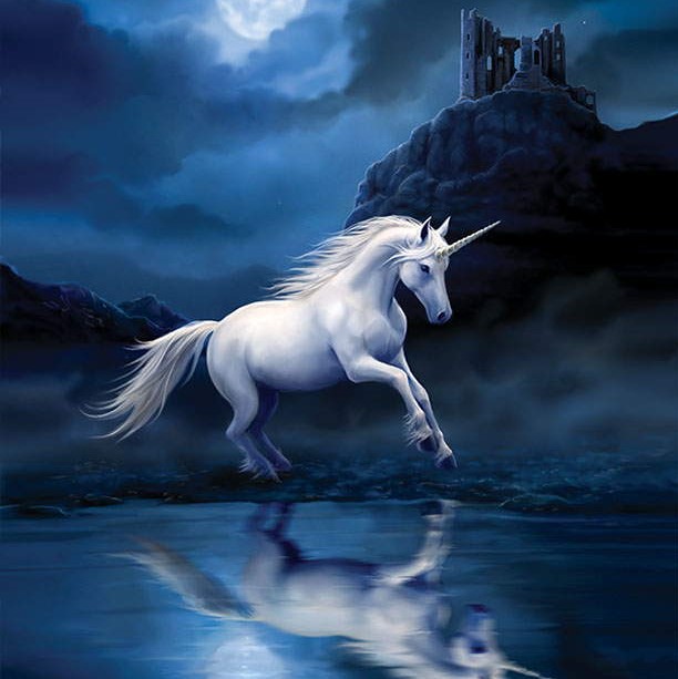 Moonlight-Unicorn