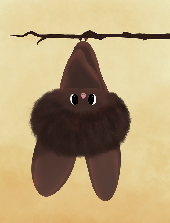 fledermaus